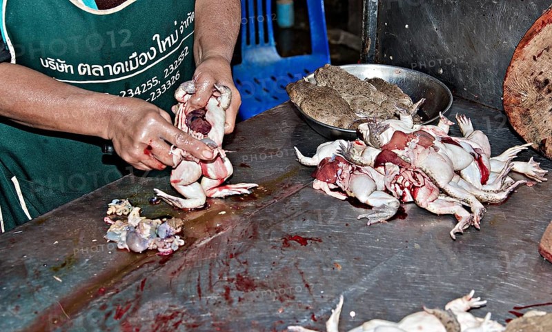 Gutting toads at the market