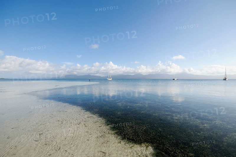 Sea grass