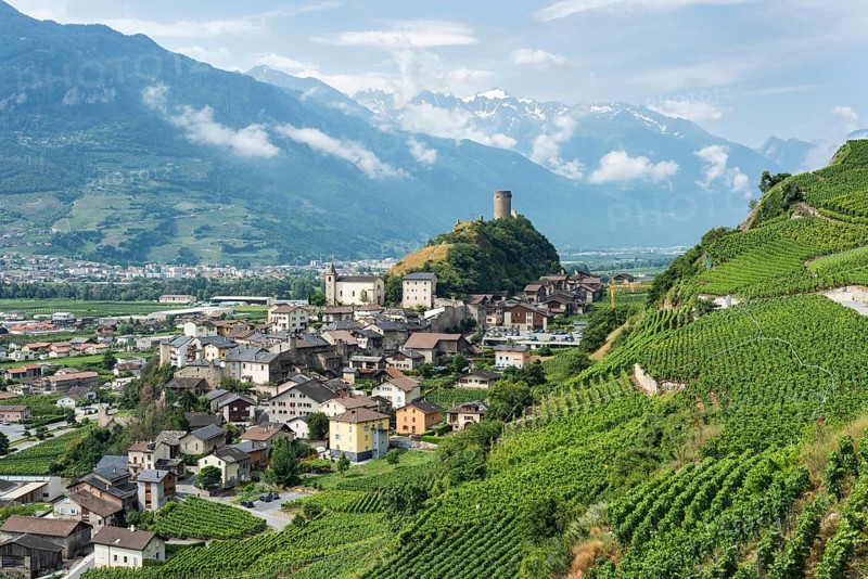 Vineyards and the Bayart Tower on a hill