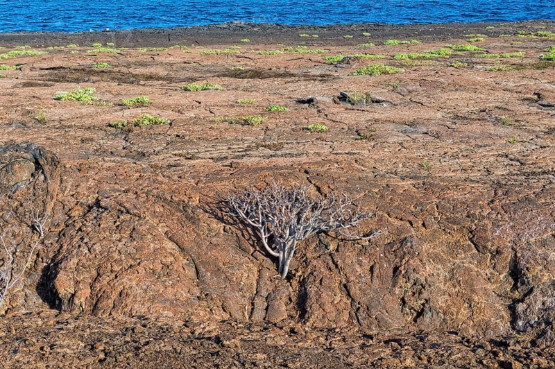 Rocky landscape