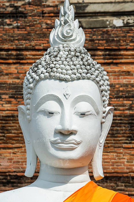 Buddha statue in front of the stupa at Wat Yai Chai Mongkhon