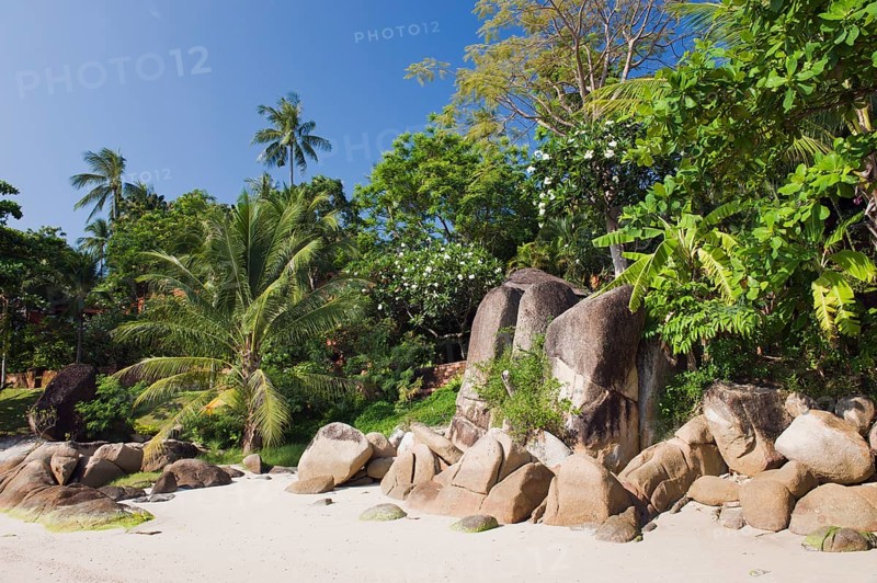 Sandy beach with granite rocks