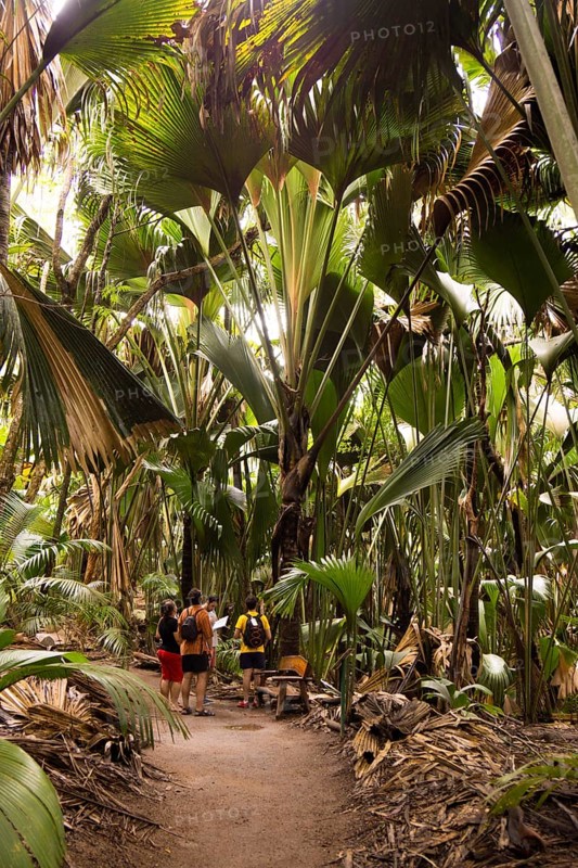 Guided tour for tourists