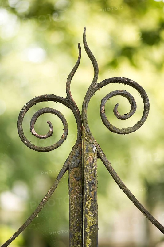 Ornament on old metal gate
