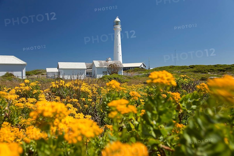 Slangkop Lighthouse
