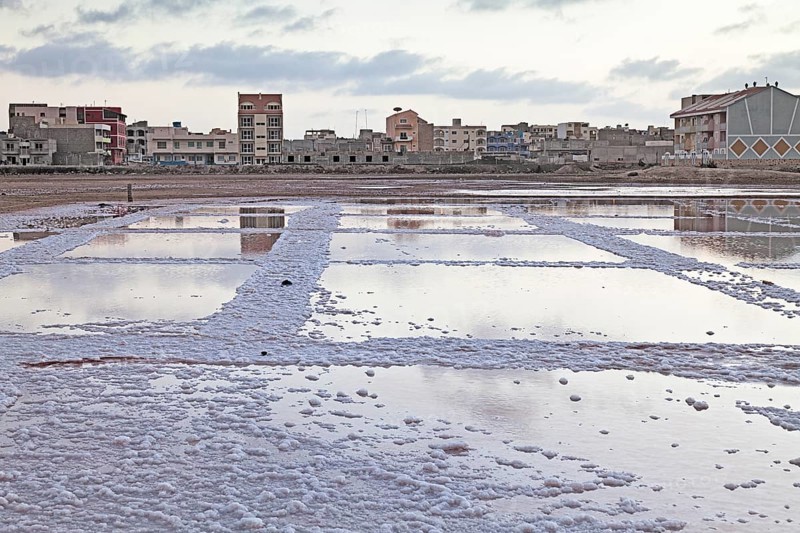 Salt basin in the disused saline