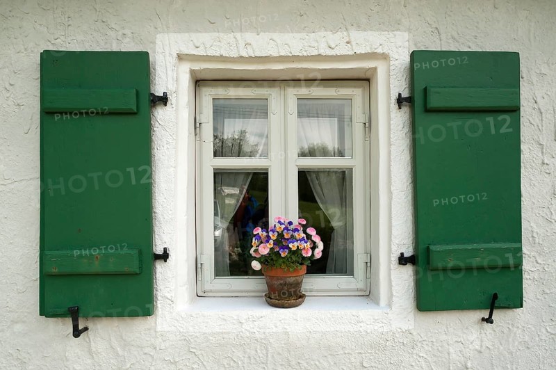 Window with green shutters and a flower pot