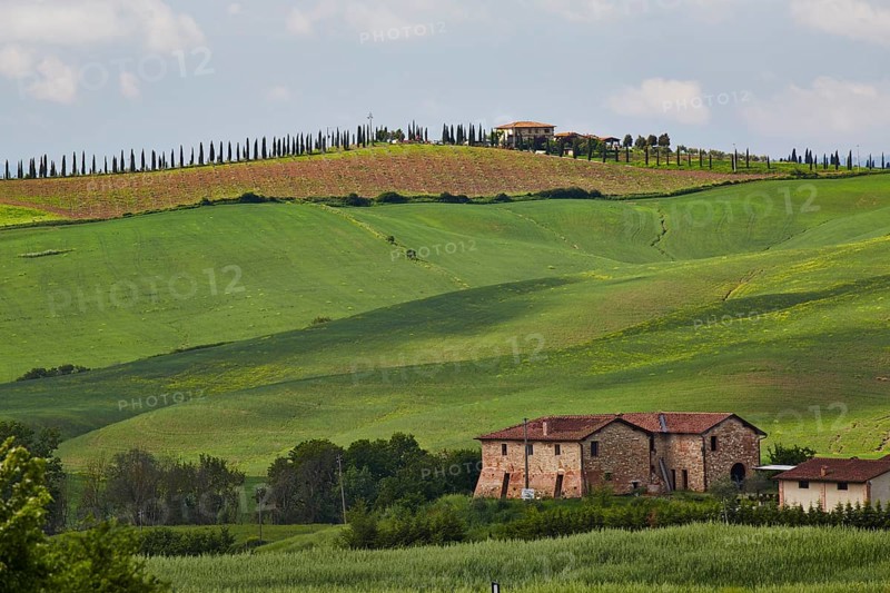 Hilly landscape of the Crete Senesi