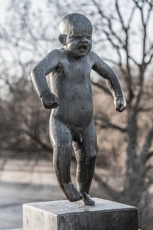 Sinnataggen'