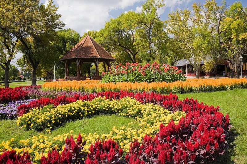 Gazebo and floral displays of red cockscomb (Celosia)