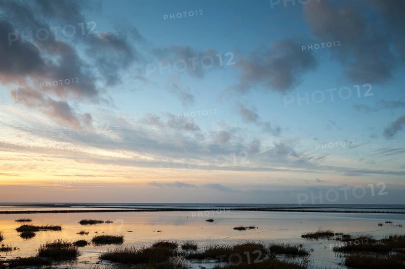 Evening mood in the Wadden Sea National Park