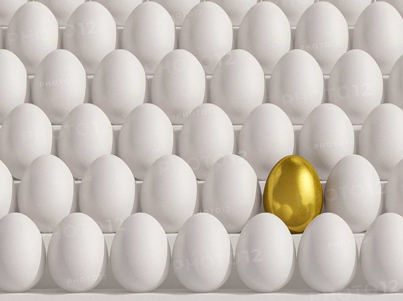 Golden egg amidst white eggs