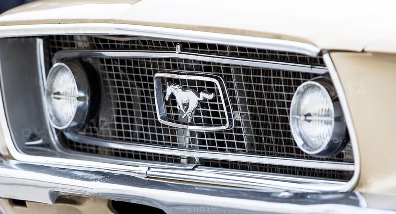 Radiator grill