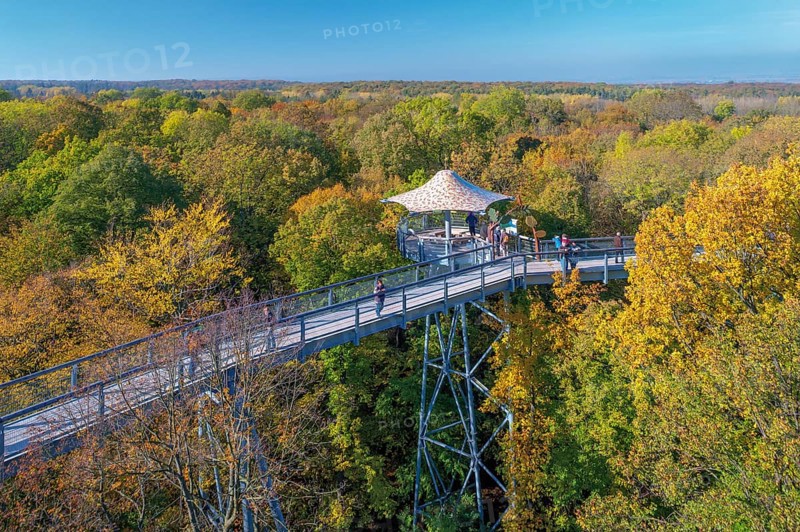 Treetop walk