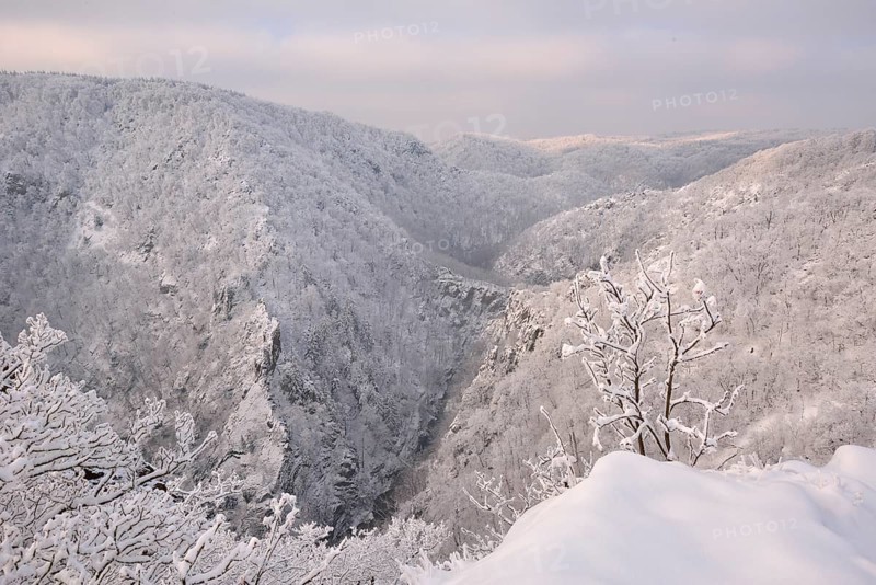 Winter landscape in the Bode Gorge