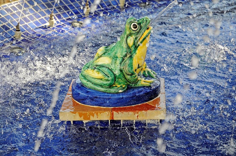 Frog spouting water