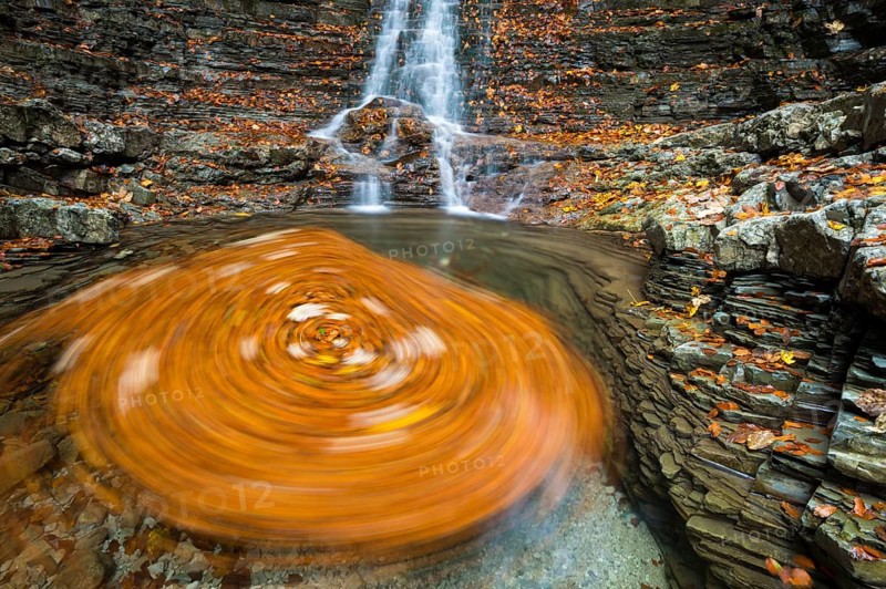 Swirling leaves in a Taugl river inlet