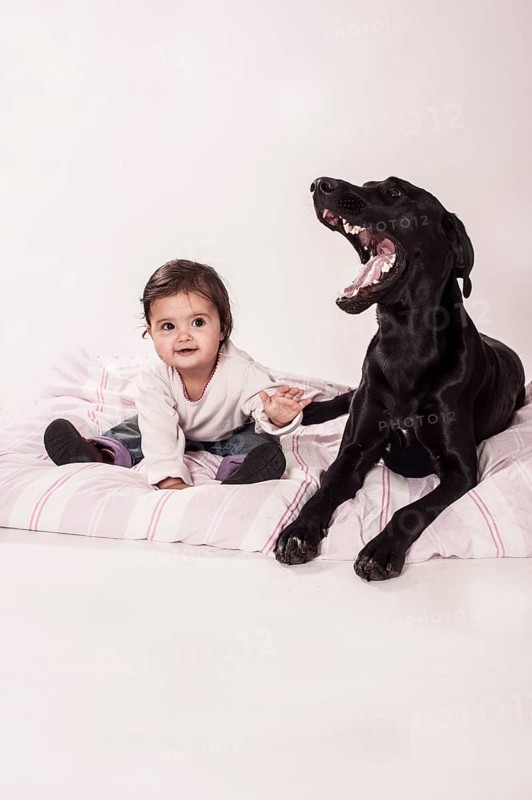 Big black mongrel lying next to a small child