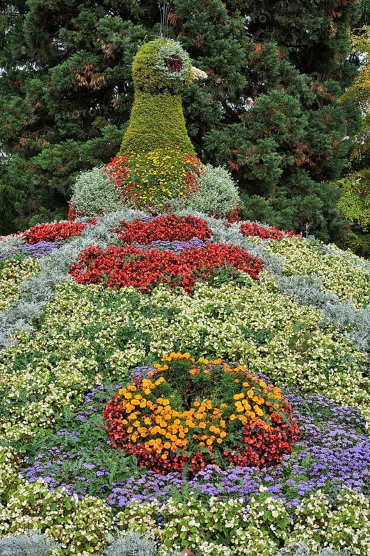 Peacock figur from different flowers