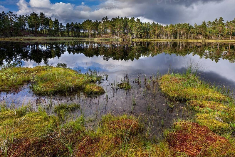Naveretjarn Lake