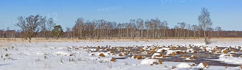 Winter in Duvenstedter Brook Nature Reserve