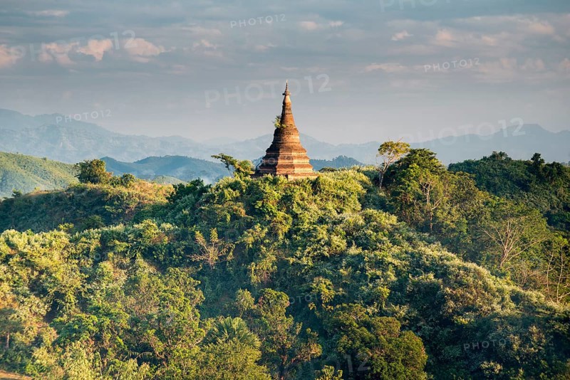 A pagoda is surrounded by trees