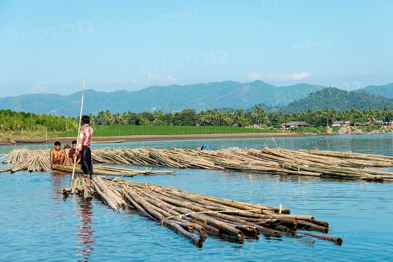 Bamboo transport