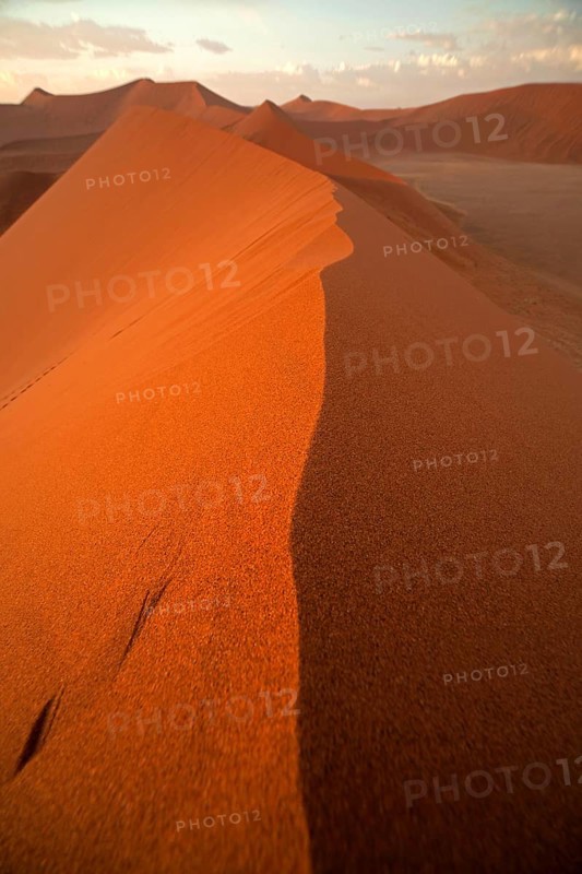 Sossusvlei dunes in the morning light