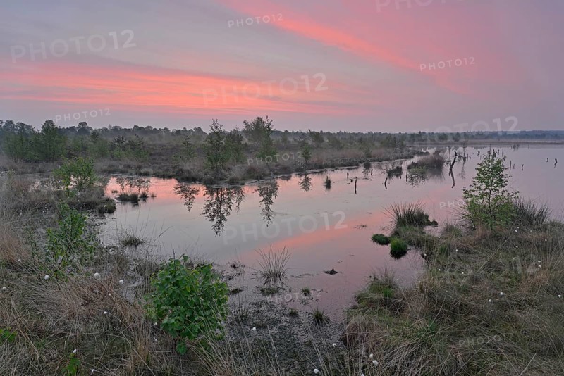 Sunrise in the Hahnenmoor nature reserve