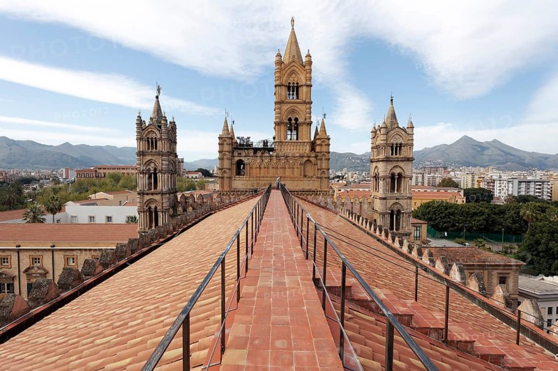 View from the roof