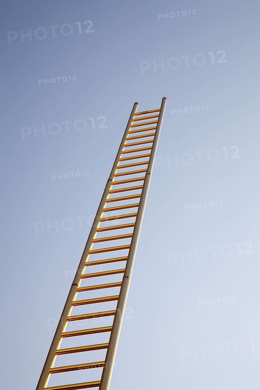 Golden Ladder