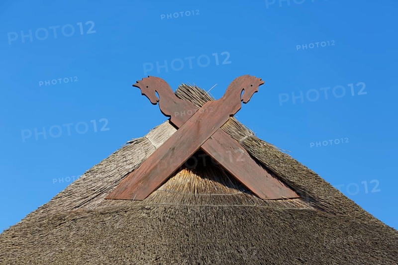 Thatched roof