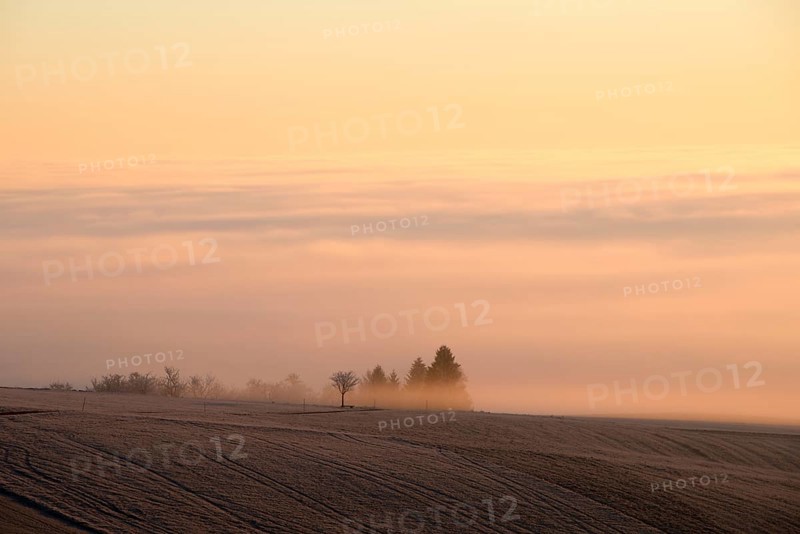 Early morning at Witthoh ridge