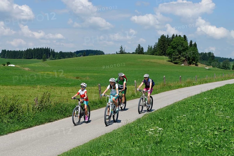 Family on a bicycle tour
