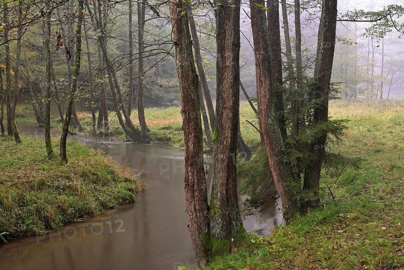 River in autumn in Kirnischtal valley