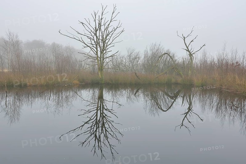 High moor in autumn