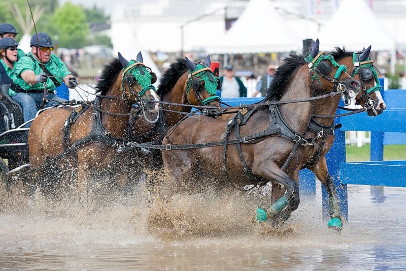 Horse-drawn carriage passing through a water ditch