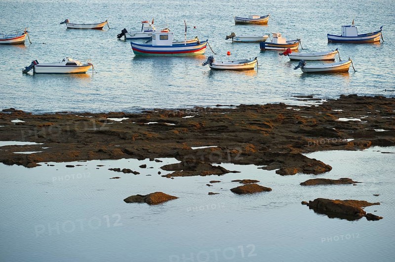 Fishing boats in the evening light