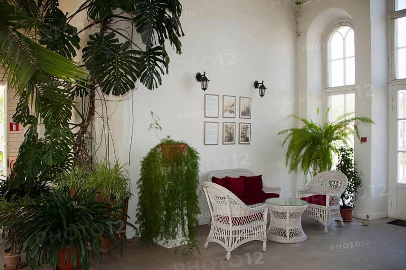 Greenhouse
