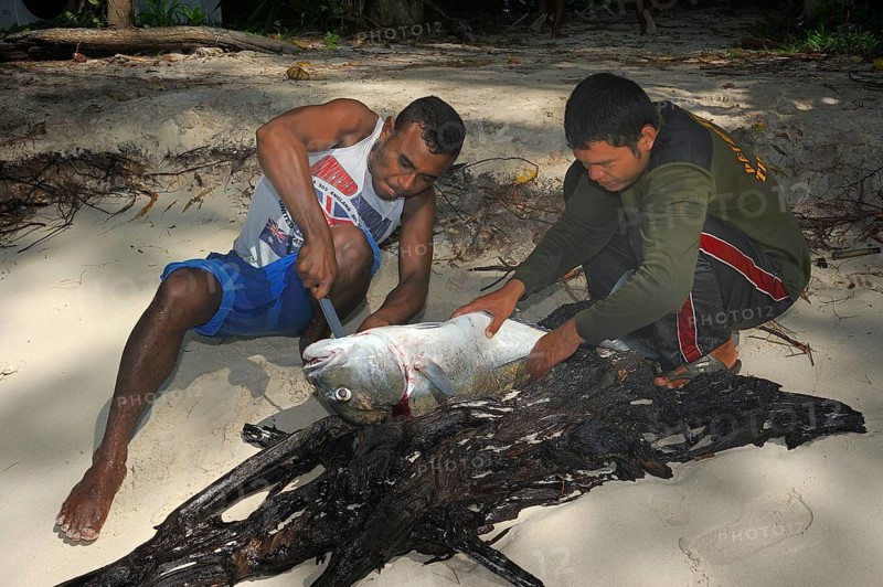 Fishermen gutting a large fish