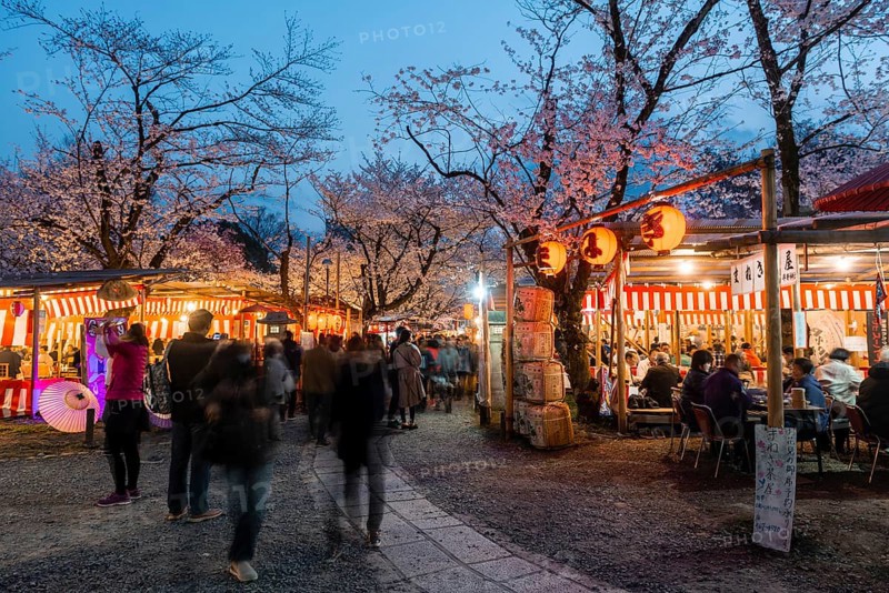 Food stalls at the cherry blossom festival