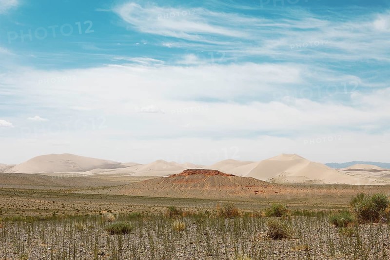 Steppe and sand dunes of Khongoryn Els