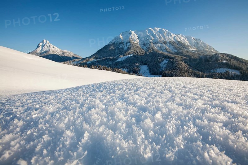 Ice crystals in a winter landscape