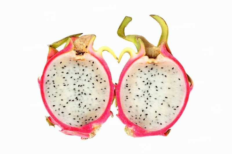 Pitahaya or Dragonfruit (Hylocereus undatus)