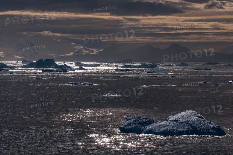 Moody light over the icebergs and glaciers