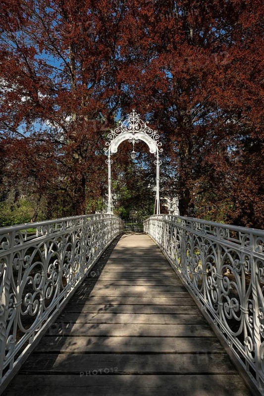 Bellevue Bridge across the Oos River