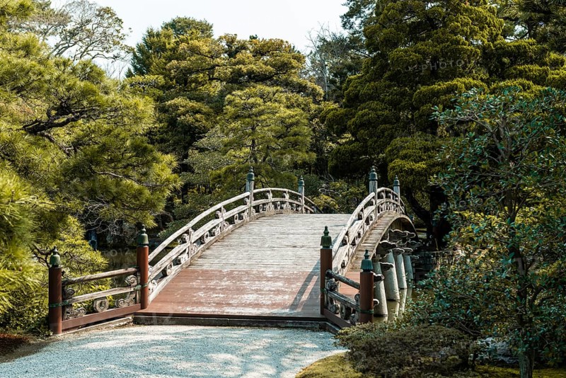 Garden with bridge