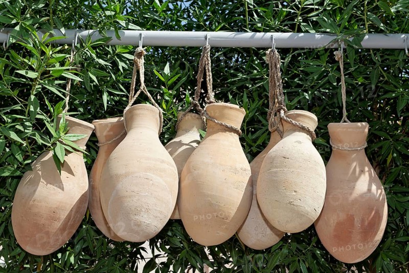 Clay jugs hanging in front of oleander shrubs