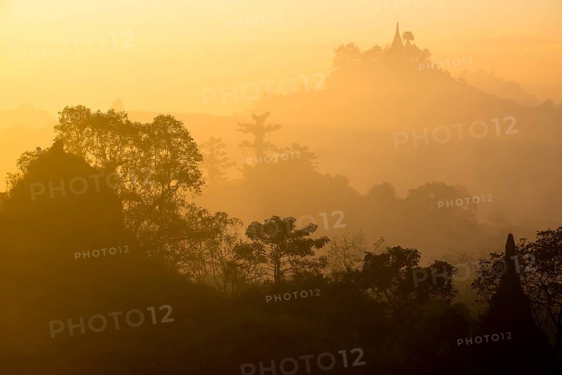 Pagoda surrounded by trees