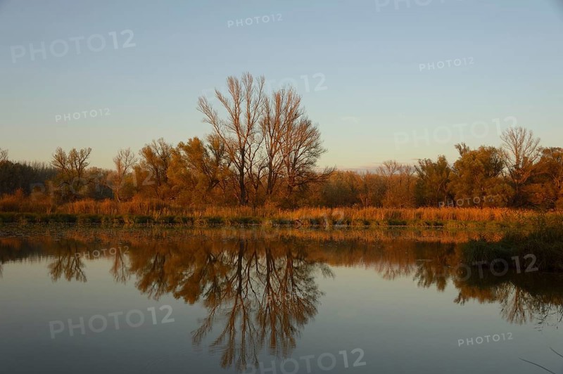Landscape in the evening light